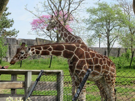 Zoo de Indianápolis